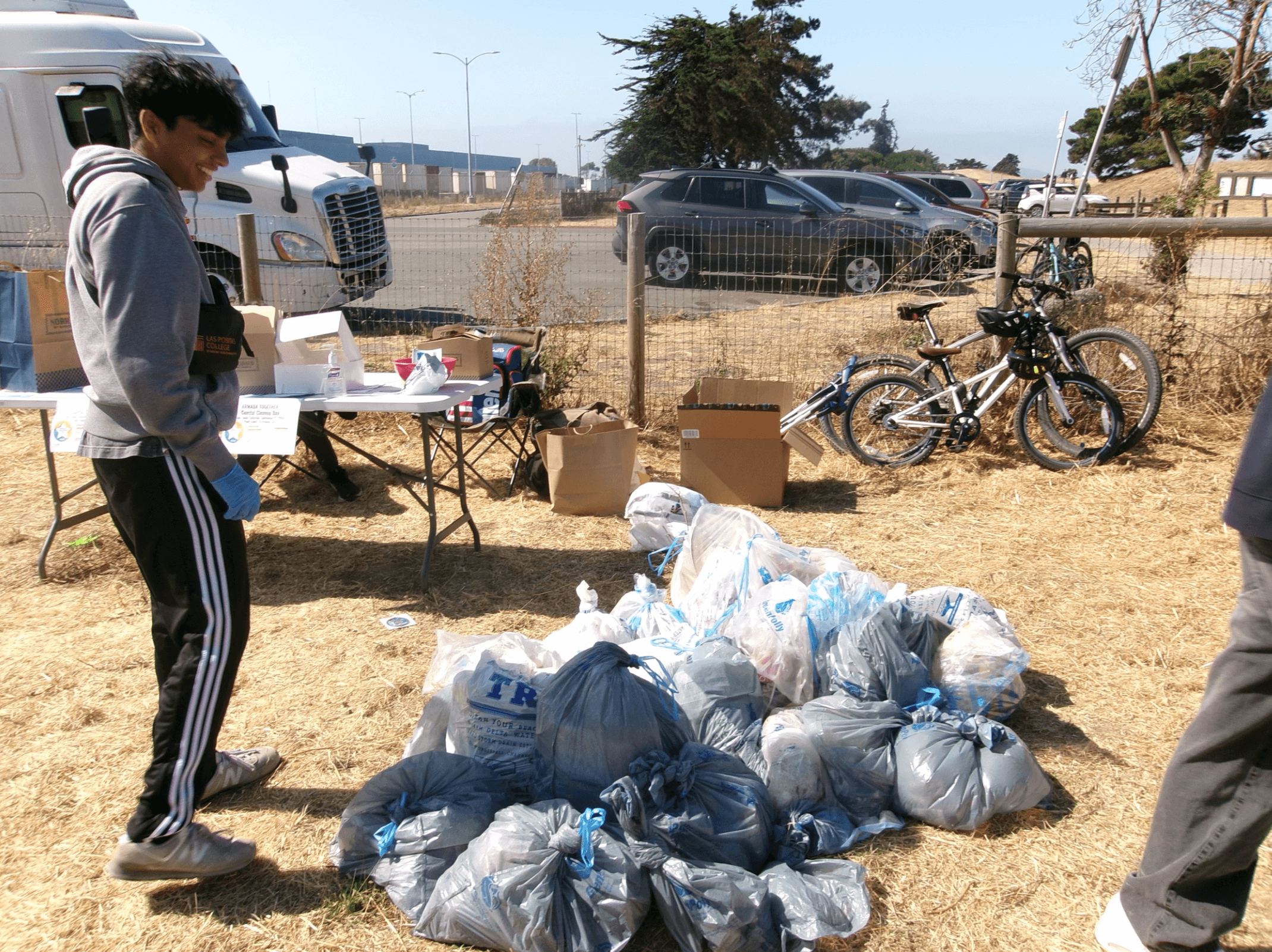 Beach Cleanup Activity